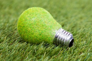 depositphotos_32757279-stock-photo-energy-saving-bulb-on-green